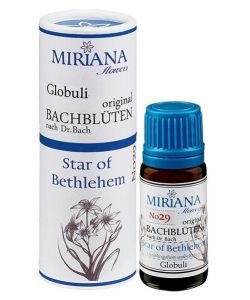 Star of Bethlehem 29 Bach Flower ALCOHOL FREE, 10 g